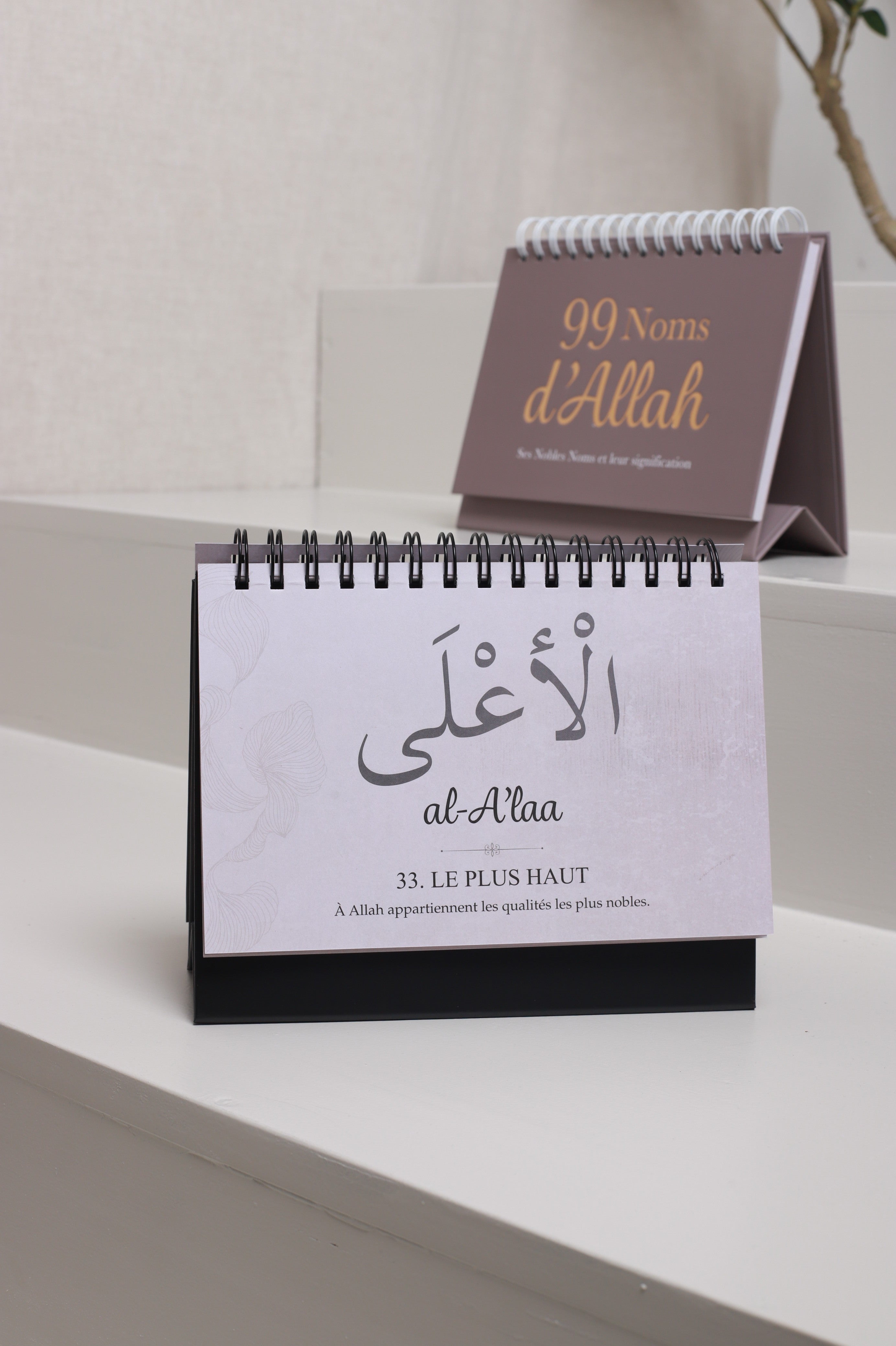 Les 99 noms d'Allah + coloris