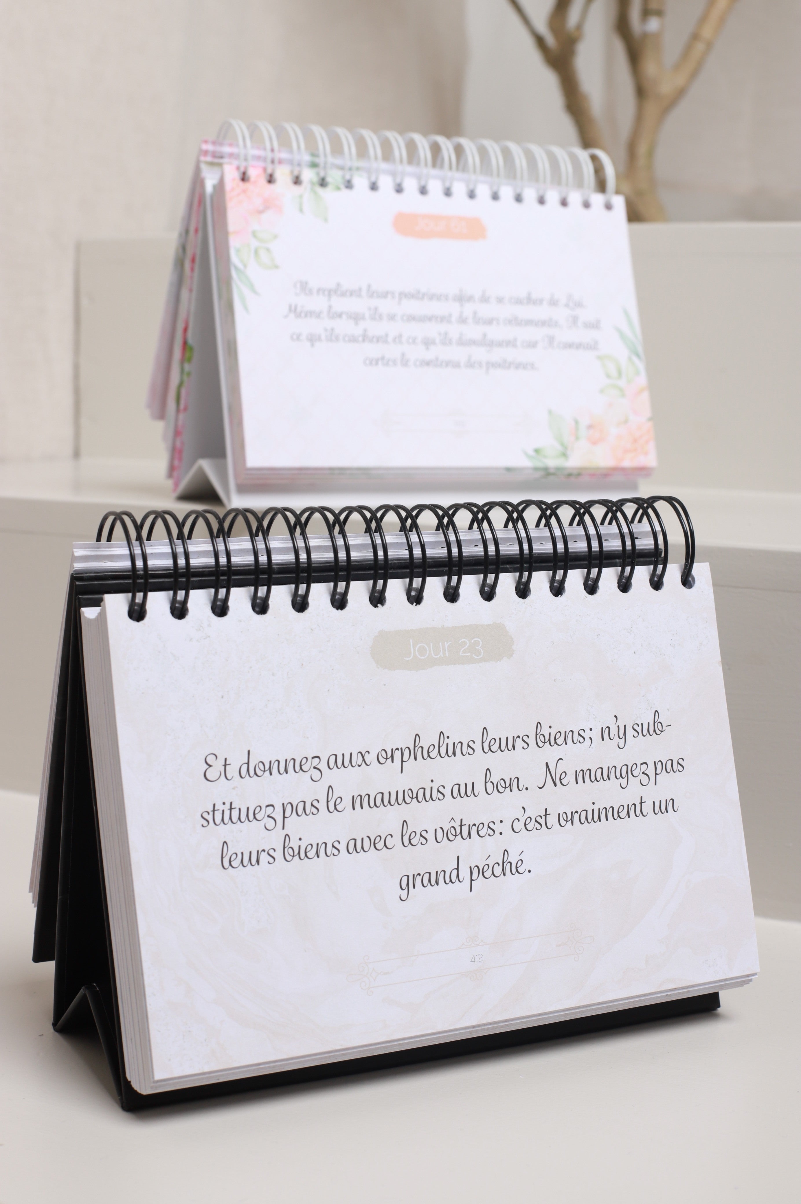 365 rappels Coraniques